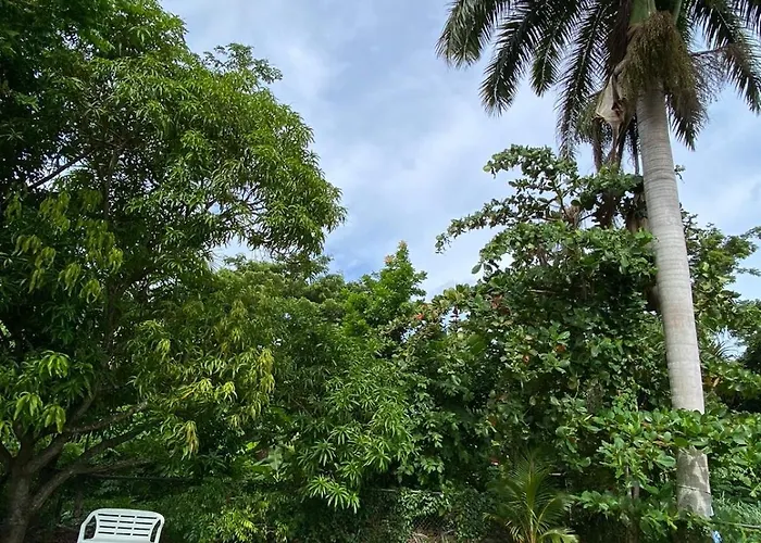 Villa Cisland Experience