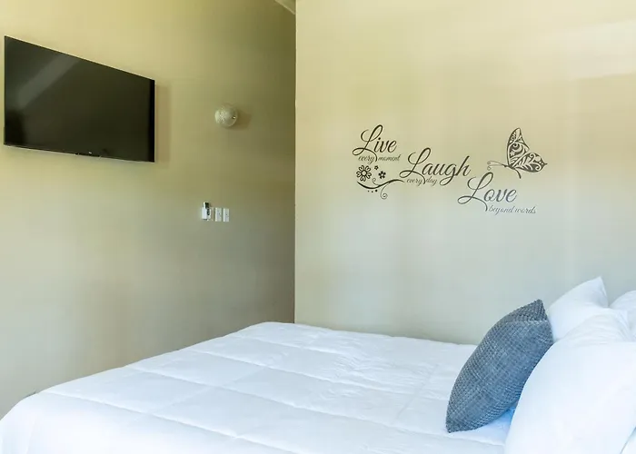Cisland Experience * Montego Bay